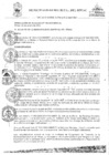 Vista preliminar de documento RES-196-2023