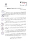 Vista preliminar de documento RESOLUCION DE ALCALDIA Nº 275-2024-MPH-A