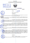 Vista preliminar de documento R.D 0575-2024