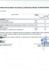 Vista preliminar de documento Anexo N° 6 - Aprobación de Modificaciones al Cuadro Multianual de Necesidades N° 00000330