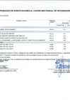 Vista preliminar de documento Anexo N° 6 - Aprobación de Modificaciones al Cuadro Multianual de Necesidades N° 00000331