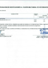 Vista preliminar de documento Anexo N° 6 - Aprobación de Modificaciones al Cuadro Multianual de Necesidades N° 00000338