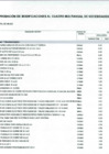 Vista preliminar de documento Anexo N° 6 - Aprobación de Modificaciones al Cuadro Multianual de Necesidades N° 00000344