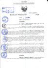 Vista preliminar de documento R.D 0557-2024
