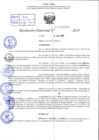 Vista preliminar de documento R.D 0551-2024