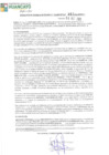 Vista preliminar de documento 543
