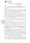 Vista preliminar de documento 541