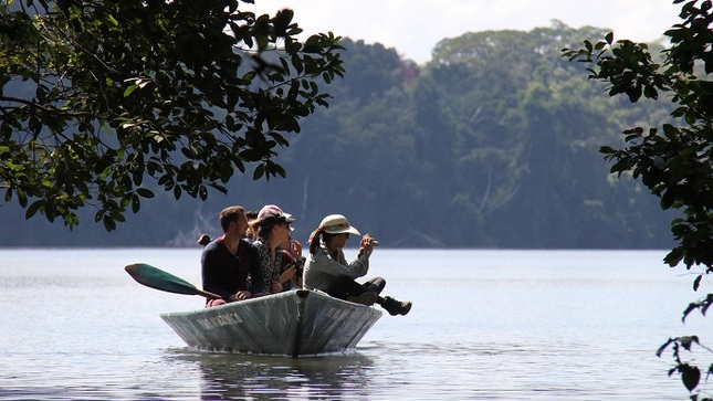 turistas anp