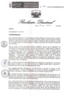 Vista preliminar de documento RA 154 DG 2024