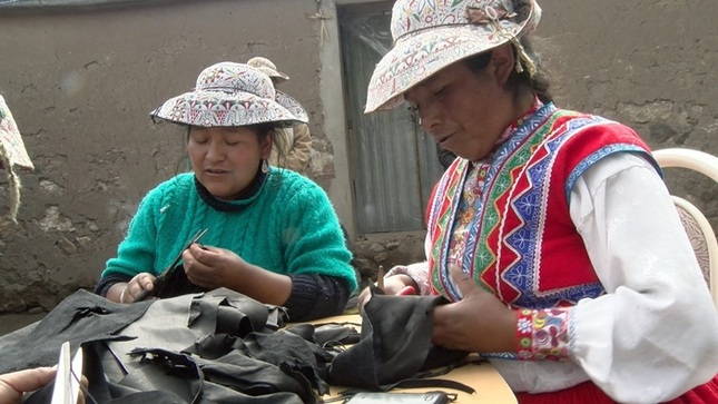 Archivo JPG del proyecto de recuperación de la piel de alpaca para fabricación de cuero terapéutico