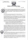 Vista preliminar de documento R.D N° 223-2024-HMA-DG