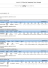 Vista preliminar de documento Anexo B-5   POI Anual con Programacion Fisica y Financiera