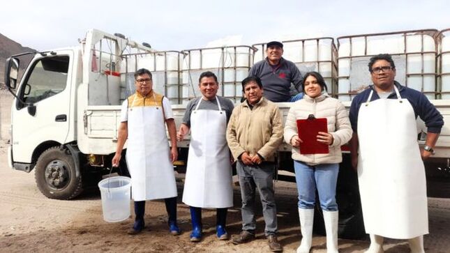 1 ALEVINES DE CORVINA