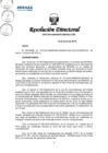 Vista preliminar de documento RESOLUCION DIRECTORAL-0078-2019