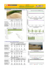 Vista preliminar de documento Boletín de abastecimiento y precio del ARROZ - 01/08/2024