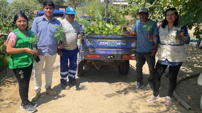 Donación de Plantas