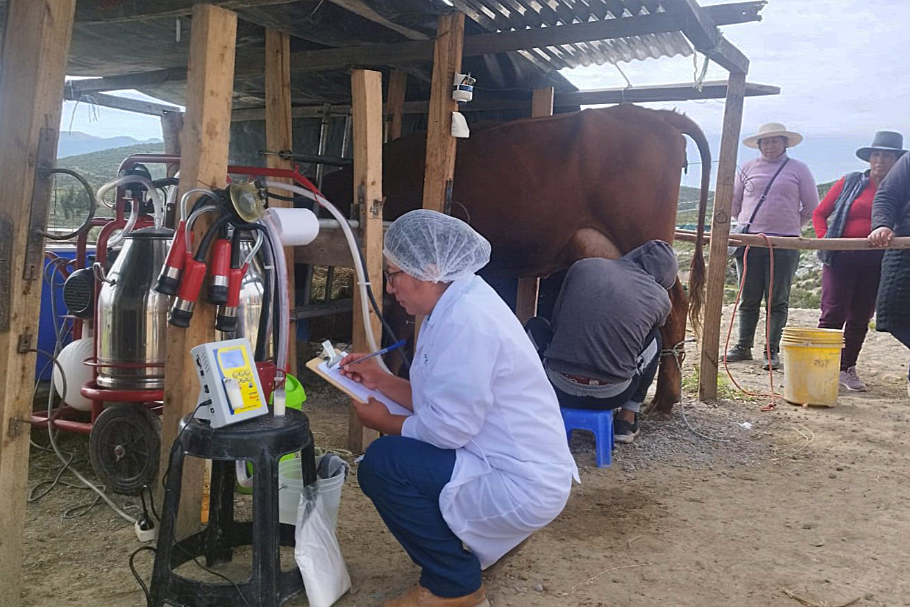 630 GANADEROS DE PARINACOCHAS RECIBEN CAPACITACIÓN EN PRODUCCIÓN DE DERIVADOS LÁCTEOS