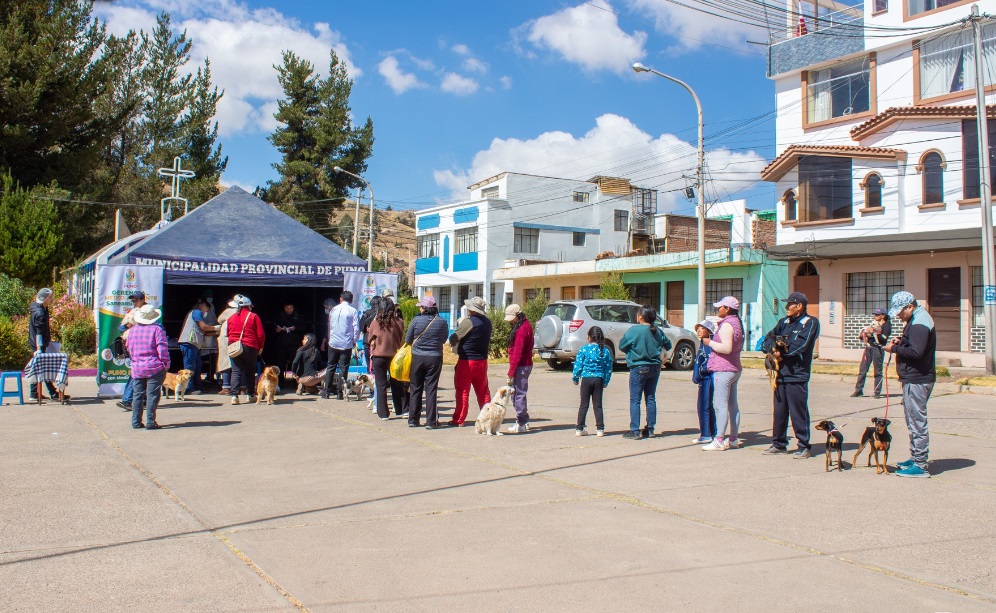 ¡Comprometidos con la salud! Jornada gratuita de desparasitación en Puno atiende a más de 200 mascotas