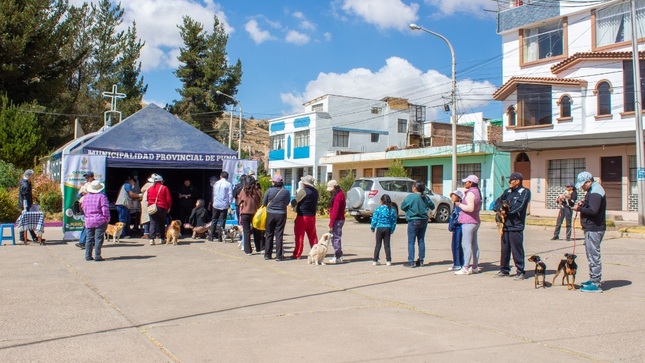 ¡Comprometidos con la salud! Jornada gratuita de desparasitación en Puno atiende a más de 200 mascotas