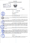 Vista preliminar de documento R.D 0542-2024