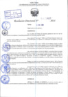 Vista preliminar de documento R.D 0537-2024