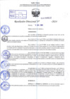 Vista preliminar de documento R.D 0532-2024