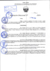 Vista preliminar de documento R.D 0523-2024