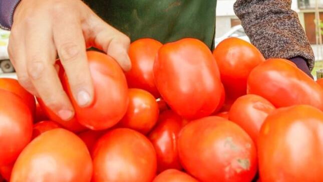 Hoy ofertas en tomate, frijol, haba, granadilla, manzana, plátano y otros en mercados mayoristas