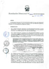 Vista preliminar de documento RD 262-2024-MIDAGRI-PEJSIB-DE