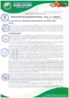 Vista preliminar de documento RESOLUCION-ALCALDIA-0156-2024-A-MDQ-LC