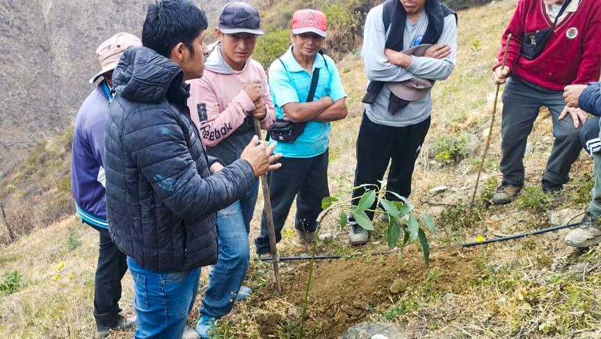 Ancash - Ganadores premio Procompite