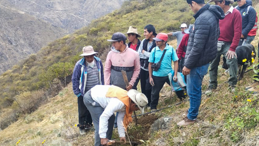 Ancash - Ganadores premio Procompite