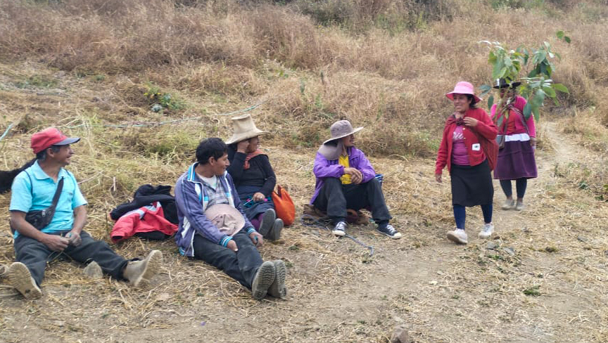 Ancash - Ganadores premio Procompite