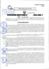 Vista preliminar de documento R.D 1933-2023