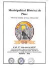 Vista preliminar de documento BASES