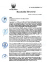 Vista preliminar de documento RD Nº 164-2024-DGINSM-HD-HN