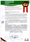 Vista preliminar de documento RESOLUCION DE ALCALDIA N° 207-2024-A