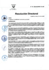 Vista preliminar de documento RD Nº 167-2024-DGINSM-HD-HN