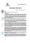 Vista preliminar de documento RD Nº 169-2024-DGINSM-HD-HN