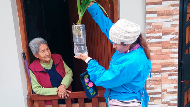 Diris Lima Sur inspeccionó más de 17 mil viviendas para eliminar criaderos del zancudo transmisor del dengue