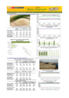 Vista preliminar de documento Boletín de abastecimiento y precio del ARROZ - 02/08/2024