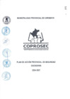 Vista preliminar de documento PLAN DE ACCIÓN PROVINCIAL DE SEGURIDAD CIUDADANA