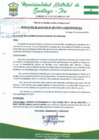 Vista preliminar de documento RA381