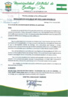 Vista preliminar de documento RA387