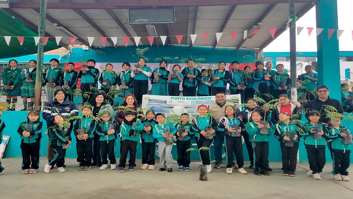 donaci贸n de plantines y punto ecol贸gico