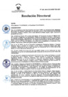 Vista preliminar de documento RD Nº 168-2024-DGINSM-HD-HN