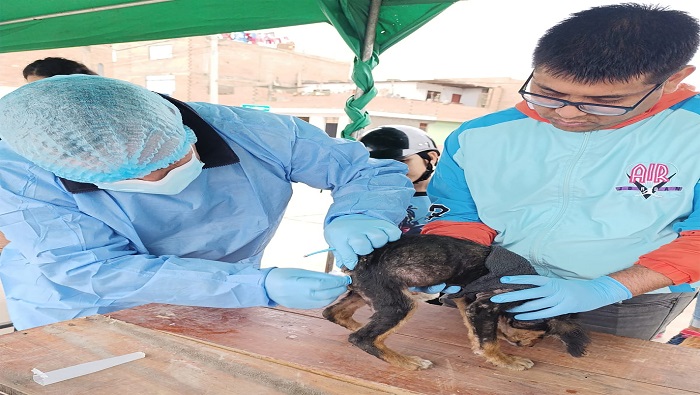 Realizamos la XVII campaรฑa de salud y bienestar animal