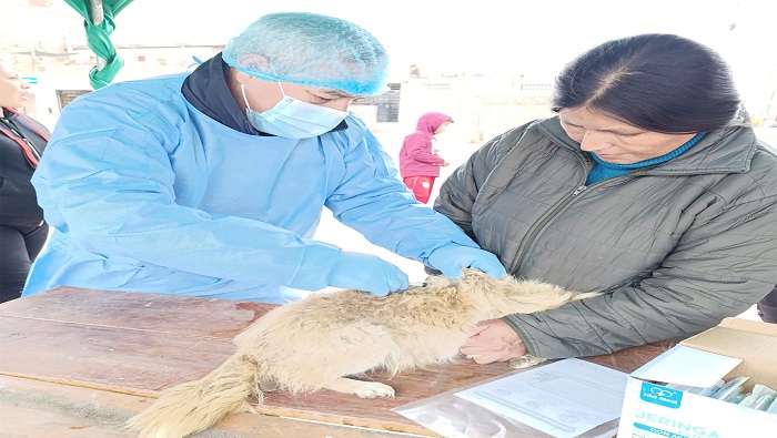 Realizamos la XVII campaรฑa de salud y bienestar animal