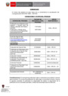 Vista preliminar de documento COMUNICADO CAS N° 041