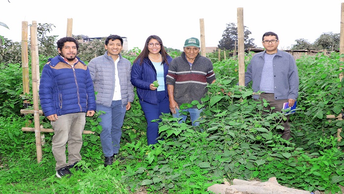 soporte Tรฉcnico en fundo frutรญcola